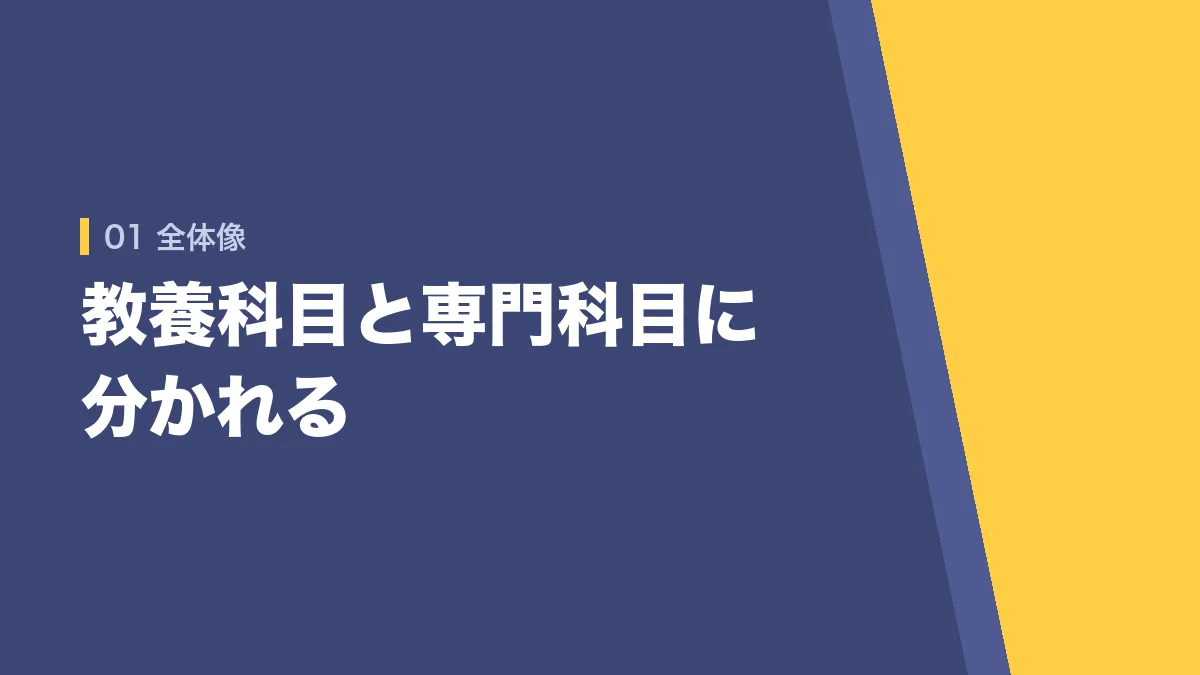 公務員試験の科目の全体像
